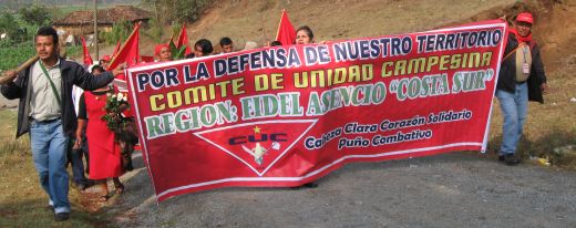 Ingreso de delegados de la Regi&oacute;n Fidel Asencio - Costa Sur